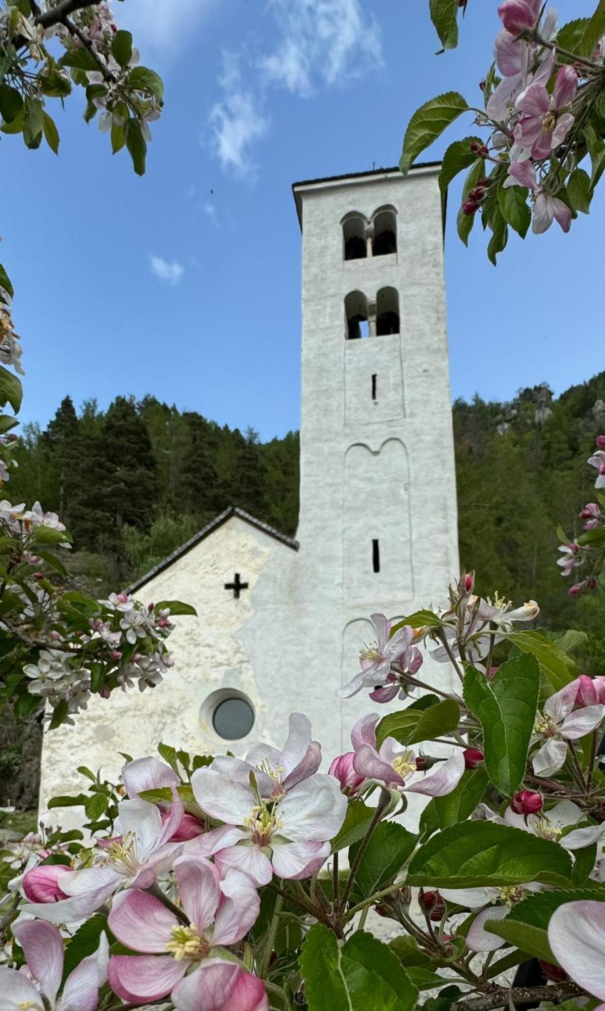 Ferienwohnungen Jojasa 拉塞斯 外观 照片